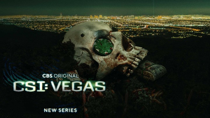CSI Vegas (Temporada 1) HD 720p (Mega)