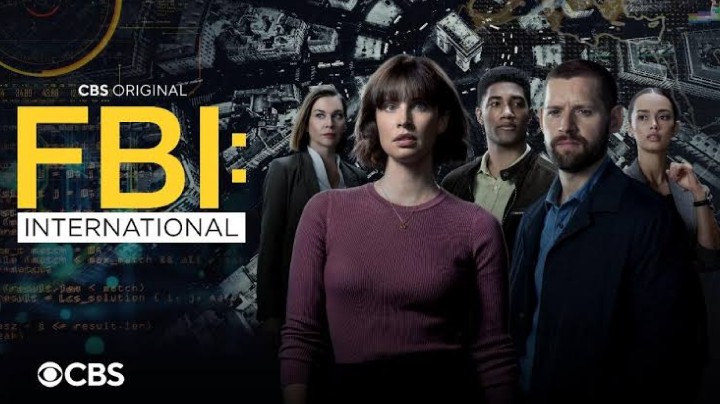 FBI International (Temporada 1) HD 720p (Mega)